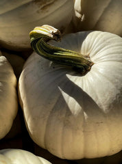 White Pumpkin 100 ml Room Spray