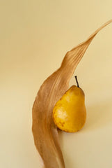 Amber Musk 50ml Perfume Oil Rollerball