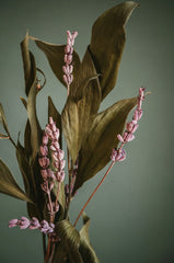 Lavender Vanilla 15.7 oz Liquid Hand Soap