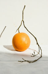 Citrus & Sandalwood 21 oz scented candle