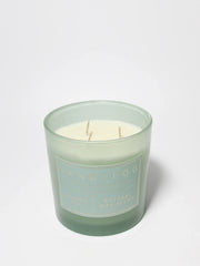 Frazier Fir 21 oz scented candle