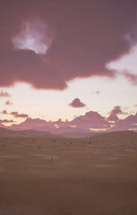 Desert Rain 12 oz scented candle