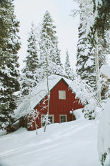 Winter White 21 oz scented candle