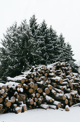 Firewood & Silver Fir 12 oz scented candle