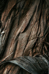 Vanilla Sandalwood 107 ml Room Spray