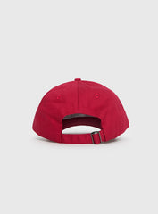 USC Dad Cap Cardinal