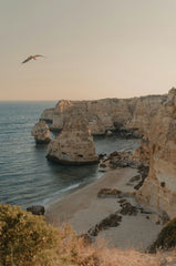 Amber Cove 50ml Perfume Oil Dropper