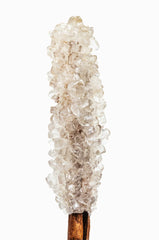 Vanilla Sugar 10.47 oz Liquid Hand Soap