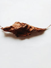 Vanilla Tobacco 9.5 oz scented candle