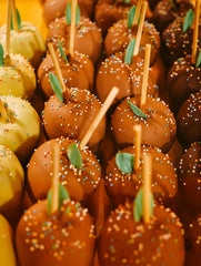 Winter Candy Apple 10.47 oz Liquid Hand Soap