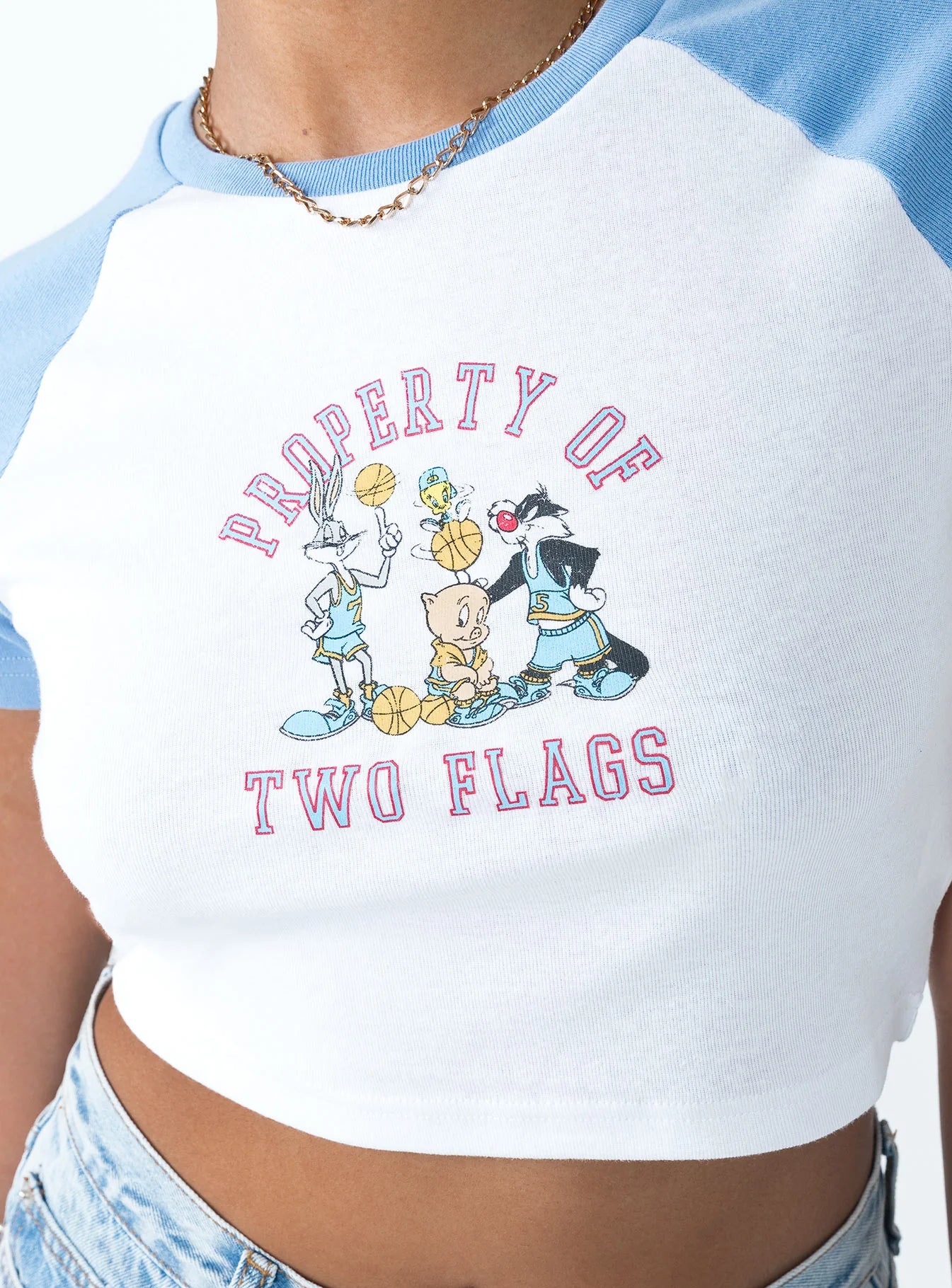 Looney Tunes Two Flags Cropped Tee White / Blue