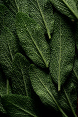 Sage & Sea Salt 12 oz scented candle