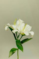 Gardenia 180 ml Reed Diffuser