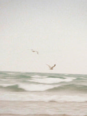 Clean Waves 100 ml Reed Diffuser