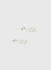 Vaylen Earrings Silver
