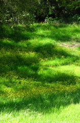 Field of Dreams 12 oz scented candle