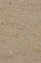 Ocean & Sea Salt 15.7oz Liquid Hand Soap