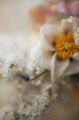 Floral Mist 50 ml Perfume Oil Rollerball