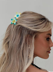 Young Forever Hair Clip Pack Multi