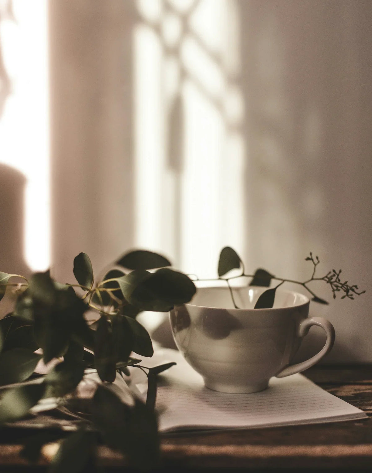 Eucalyptus Mint 107 ml Room Spray