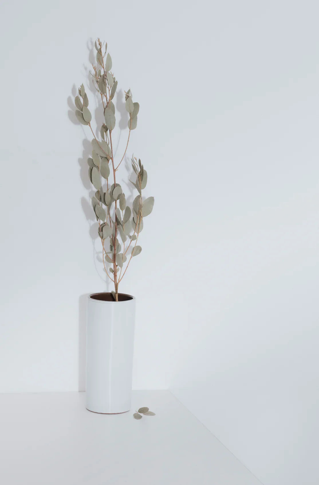 Eucalyptus Spearmint 21 oz scented candle