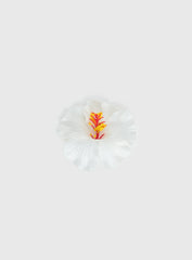 This Fate Flower Hair Clip Cream