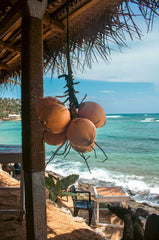 Coconut Passion 50 ml Perfume Oil Dropper