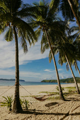 Tahitian Vanilla 9.5 oz scented candle