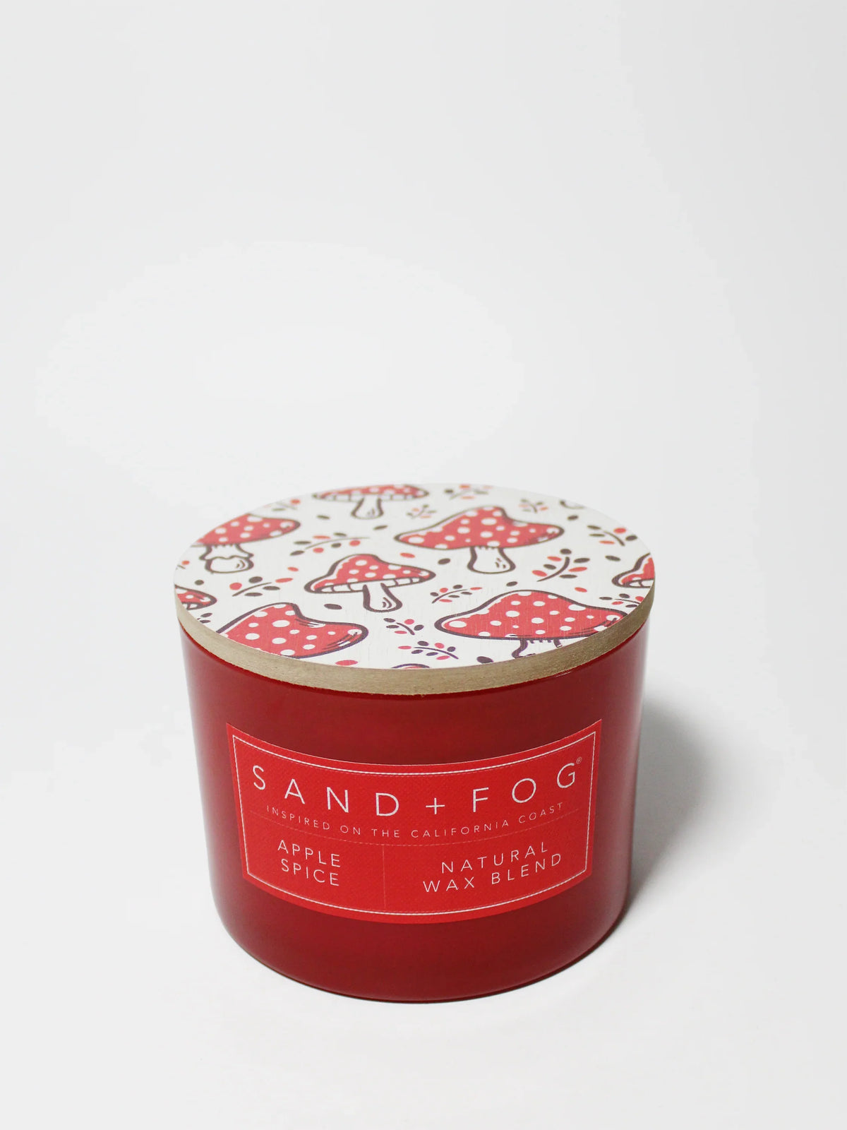 Apple Spice 12 oz scented candle