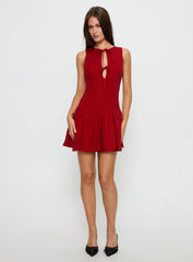 Aeryn Tie Front Mini Dress Red