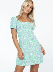 Hastings Mini Dress Green Floral