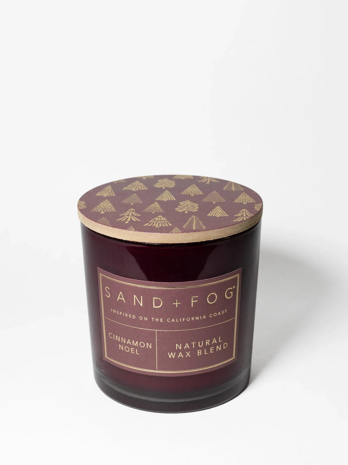 Cinnamon Noel 21 oz scented candle